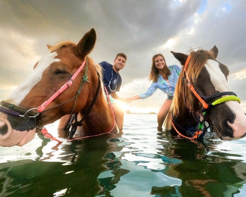 Swimming Horseback Ride in Palma Sola Bay, Bradenton