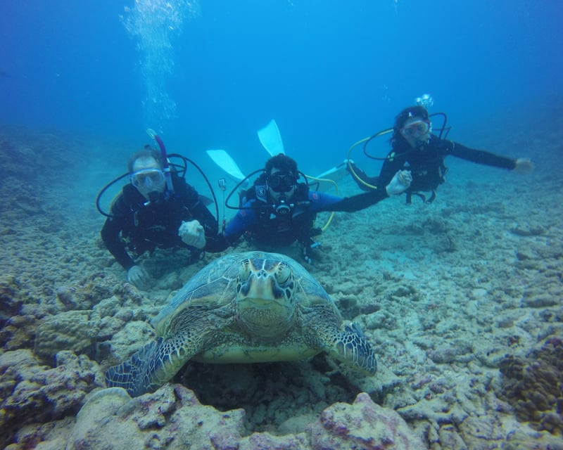 Honolulu Scuba Diving for Beginners & Certified Divers