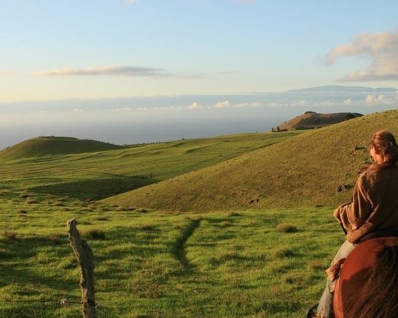 Private Horseback Ride on a Working Ranch in North Kohala