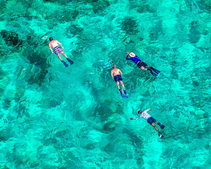 Florida Keys Marine Eco Tour