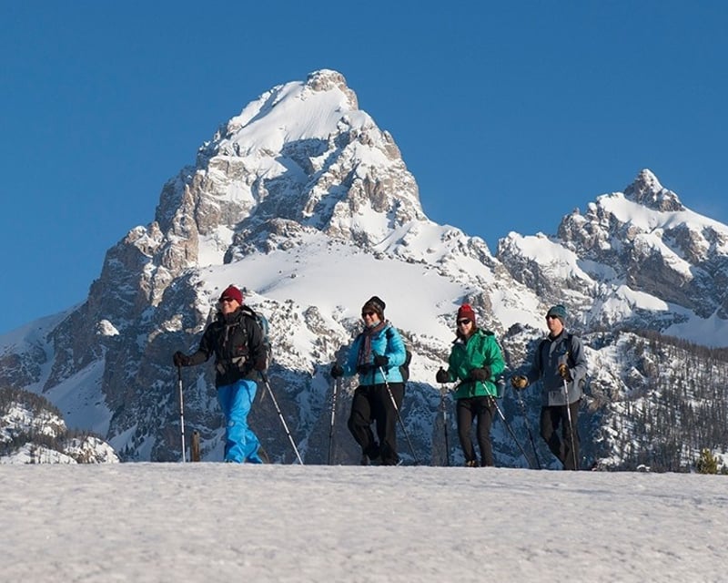 Private Naturalist Wildlife & Ecology Tour in Jackson Hole