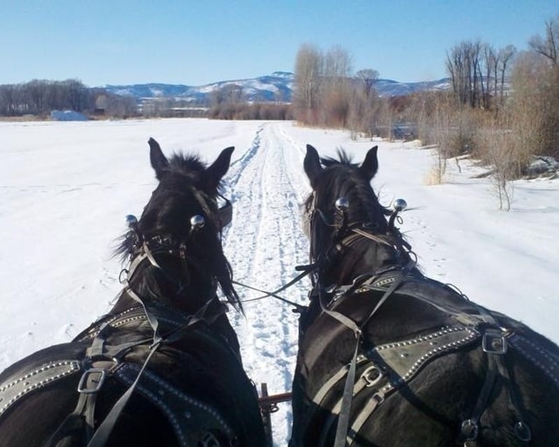 Holiday Hot Chocolate Sleigh Ride in Steamboat Springs