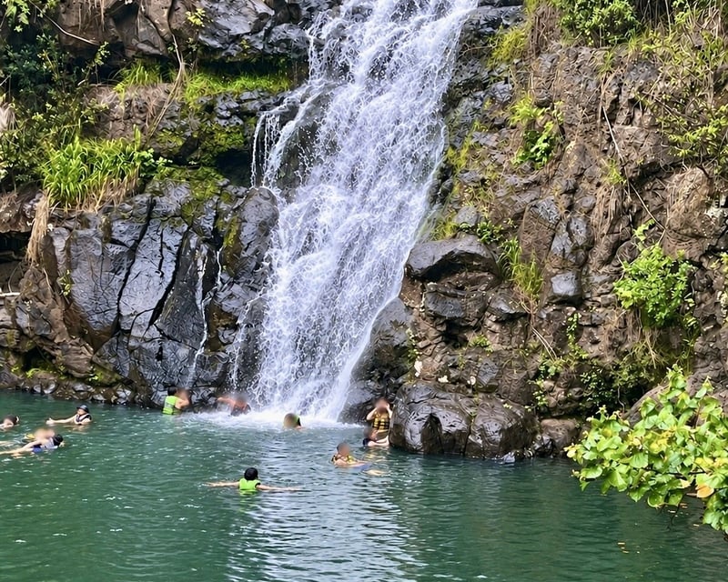 Waimea Falls & North Shore Day Tour from Waikiki