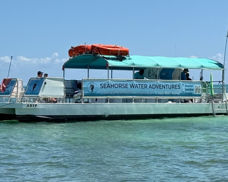 Sandbar & Reef Snorkel Tour from Marathon