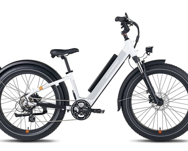 Large E-Bike Rental in Napa