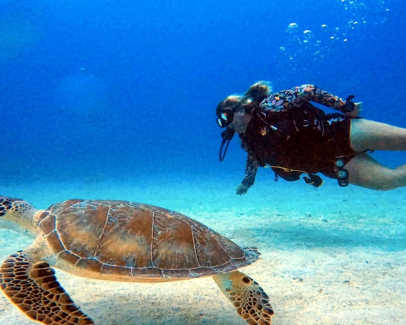 Private 2-Tank Scuba Dive for Certified Divers in Fajardo