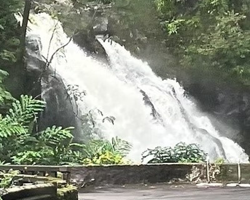 Private Halfway Road to Hāna Tour with Biologist Guide