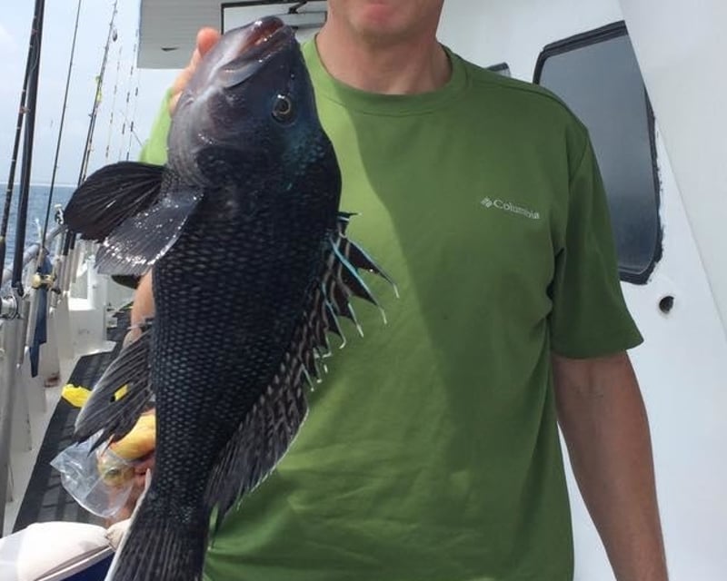 Wreck & Reef Sea Bass Fishing Trip in Brielle, NJ