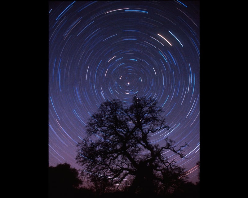 Guided Stargazing Tour in Fish Camp