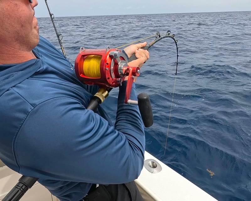 Full-Day Offshore Grouper & Snapper Fishing in Naples