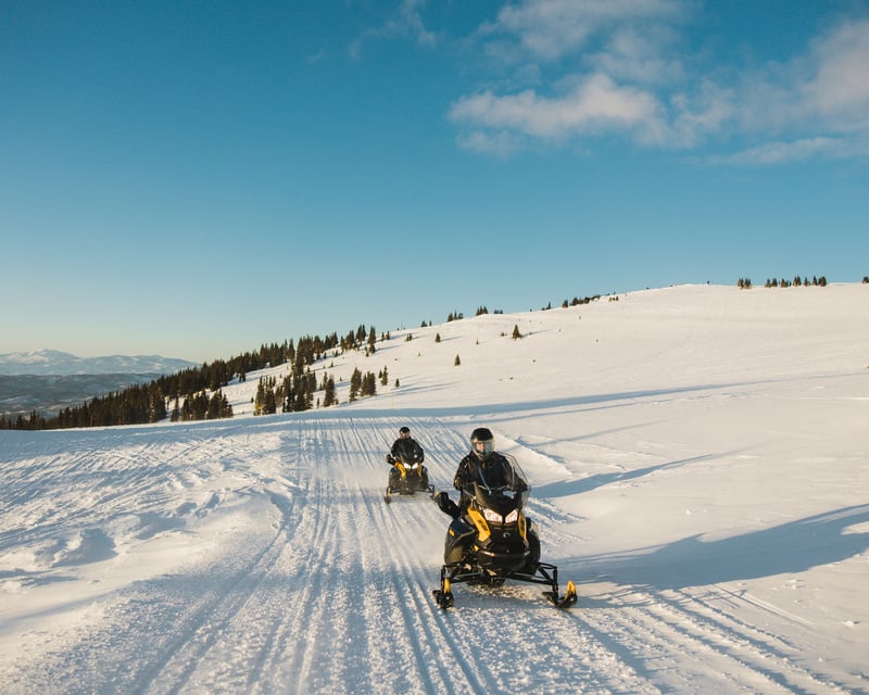 Full-Day National Forest Snowmobile Tour from Jackson