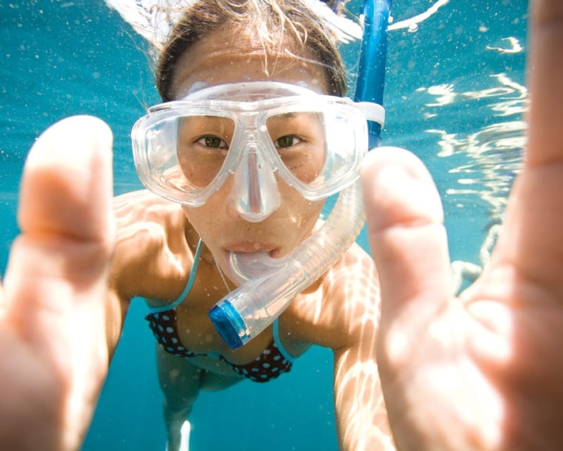 Molasses Reef Snorkeling Tour From Key Largo