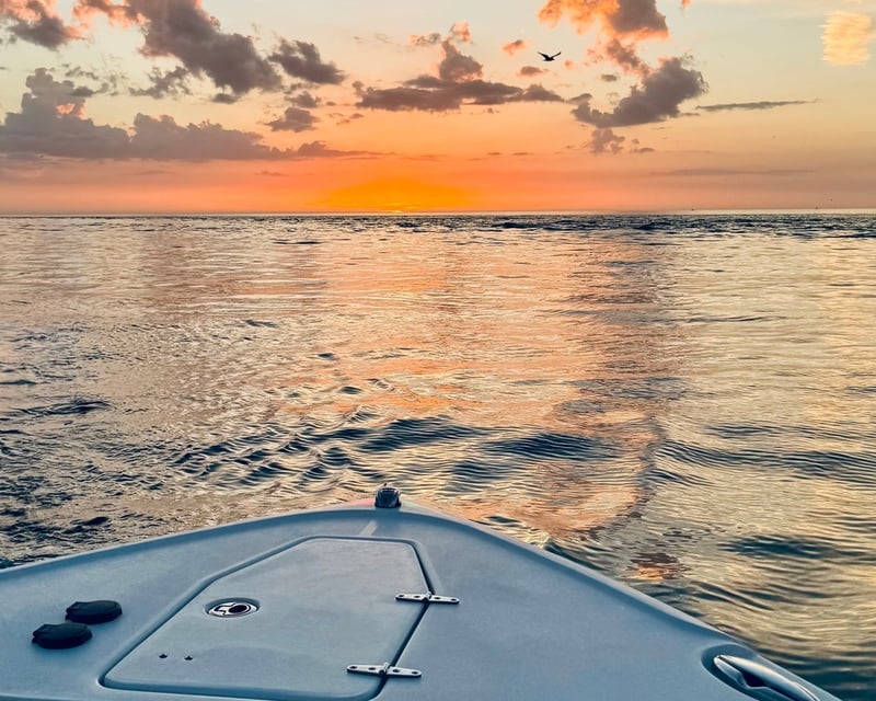 Anna Maria Island Boat Rental With Captain Option