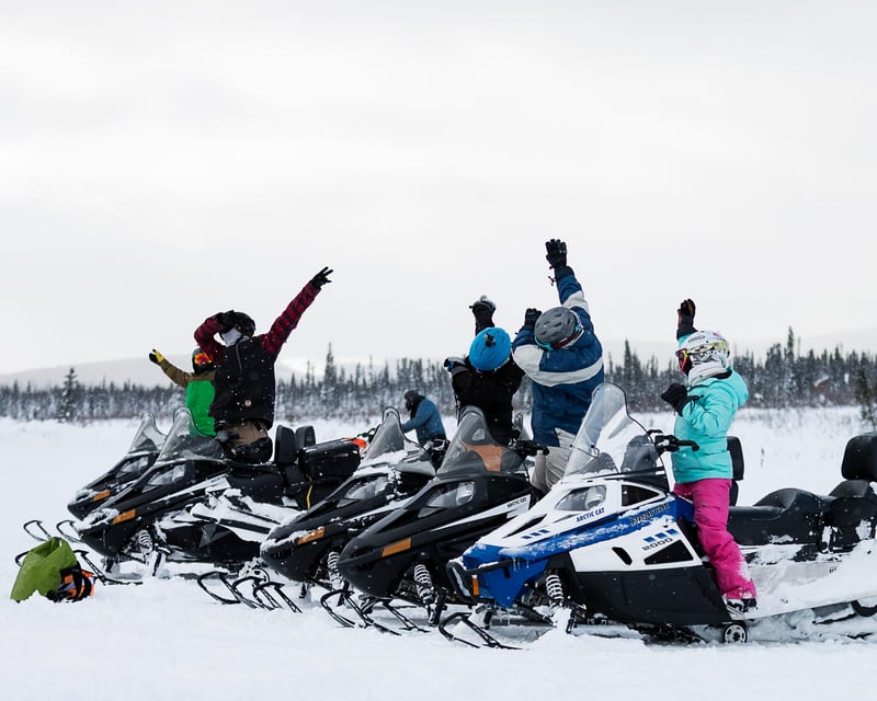 Self-Drive Snowmobile Tour in Goldstream Valley, Fairbanks