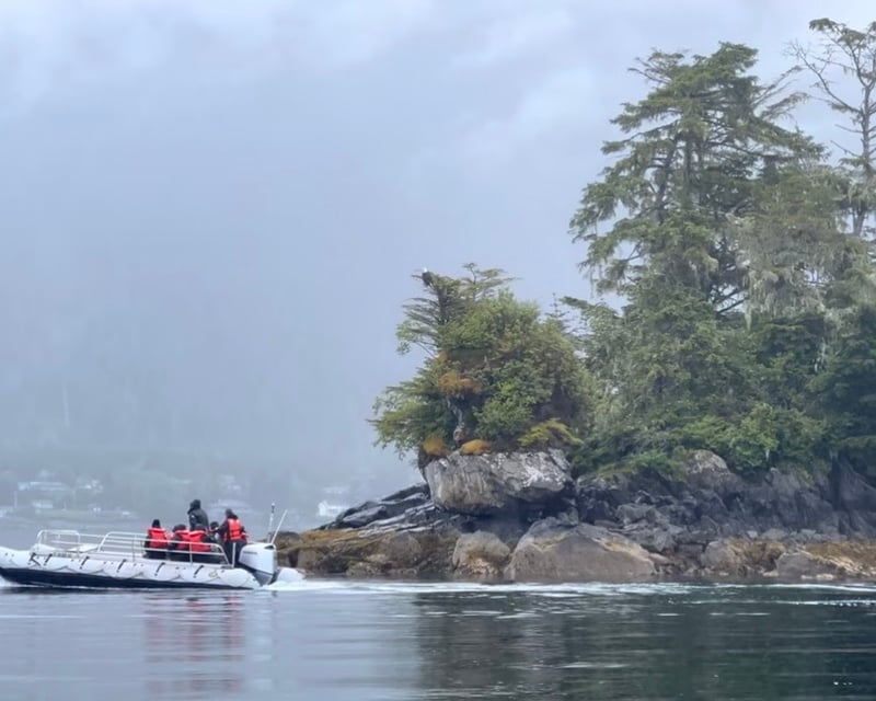Sitka 2.25-Hour Wildlife Cruise
