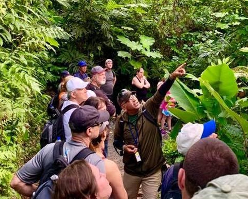 El Yunque National Forest Hike to Las Damas Pool