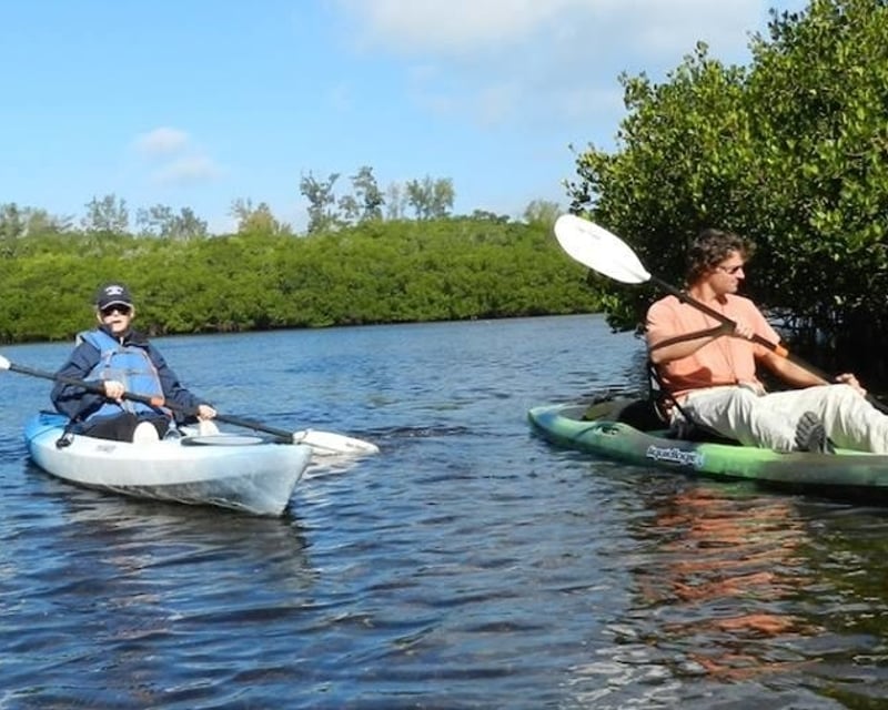 South Lido Mangrove Tunnel Kayak Tour in Sarasota