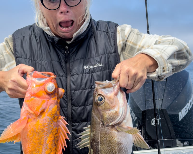 Charleston 6-Hour Rockfish Fishing Charter