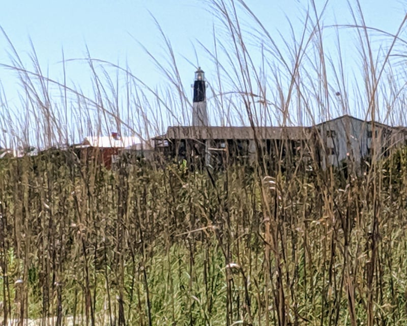 Private Savannah Historic District & Islands Driving Tour