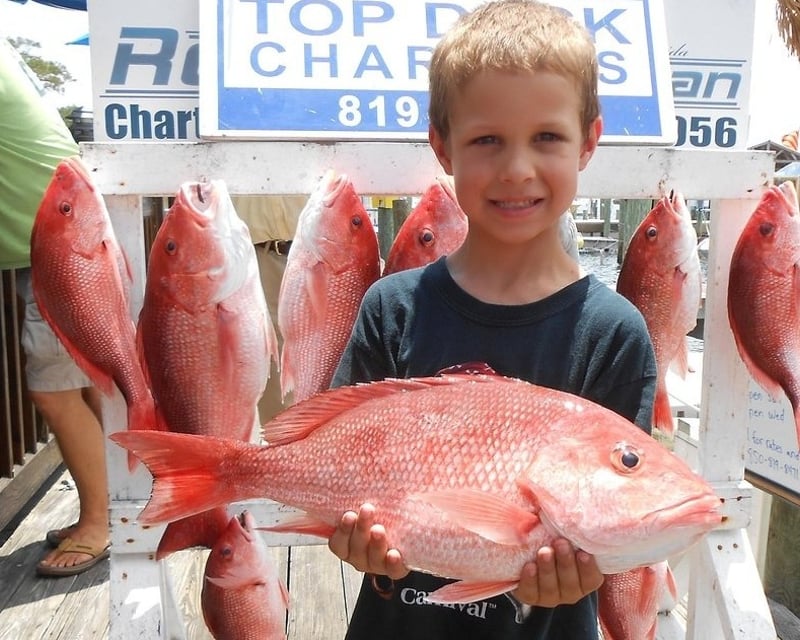 12-Hour Bottom Fishing Charter in Panama City