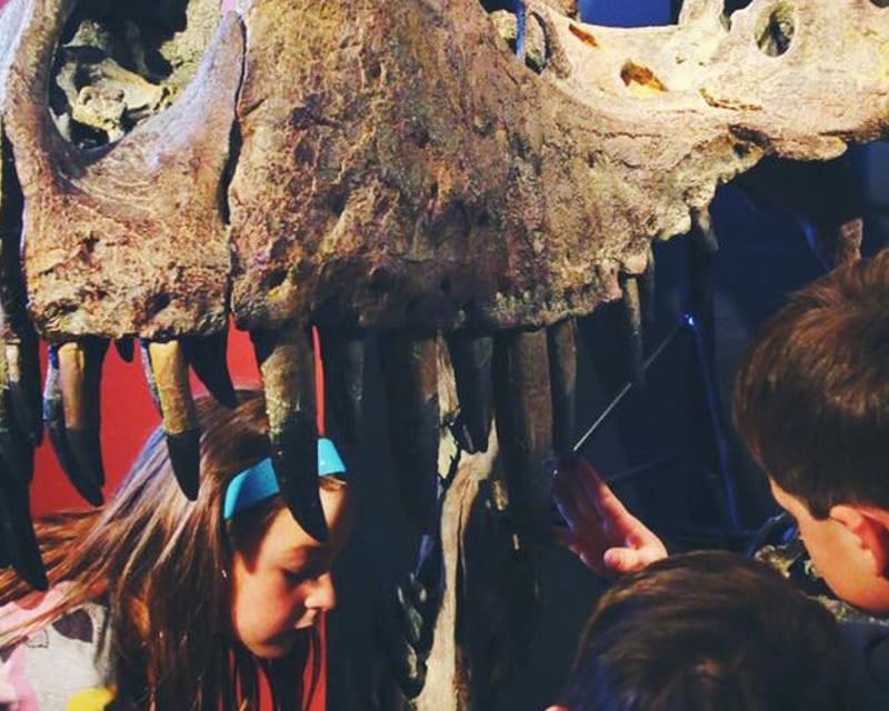 Explore Dinosaurs at Morrison Natural History Museum