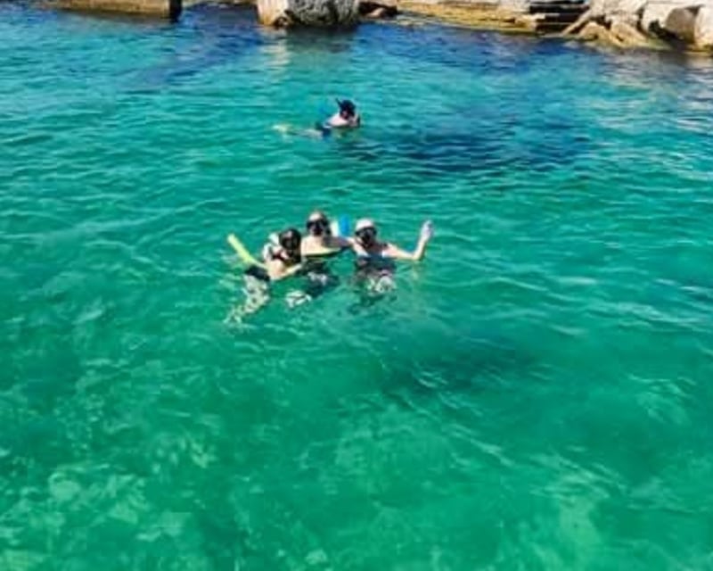 Island Snorkeling & Shelling Trip in Gulfport, FL
