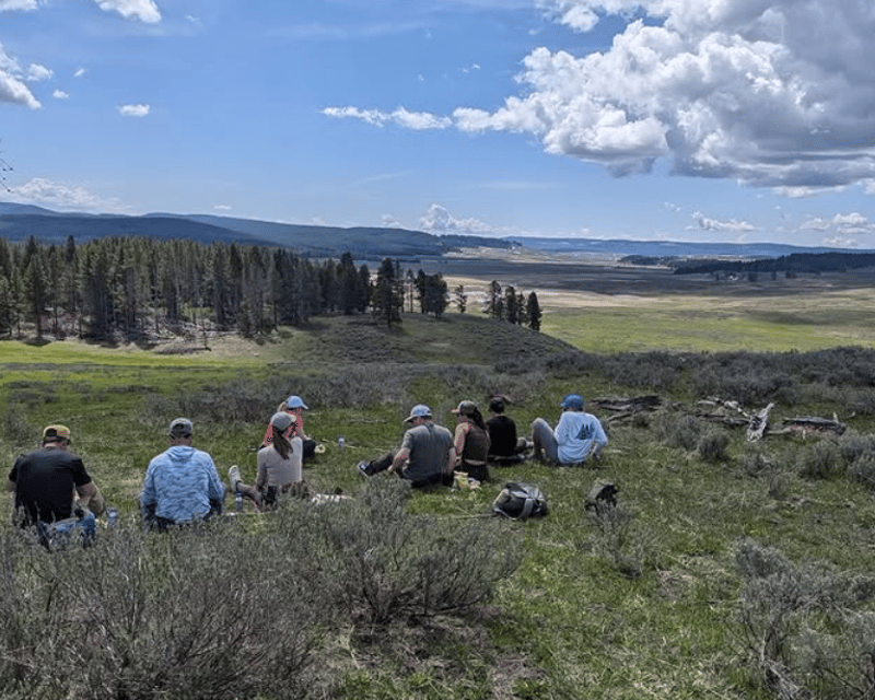 Hike the Canyon Area of Yellowstone on a Guided Tour
