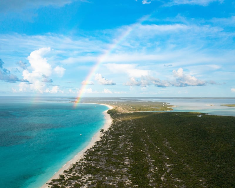 Full-Day Private West Caicos Boat Tour from Providenciales
