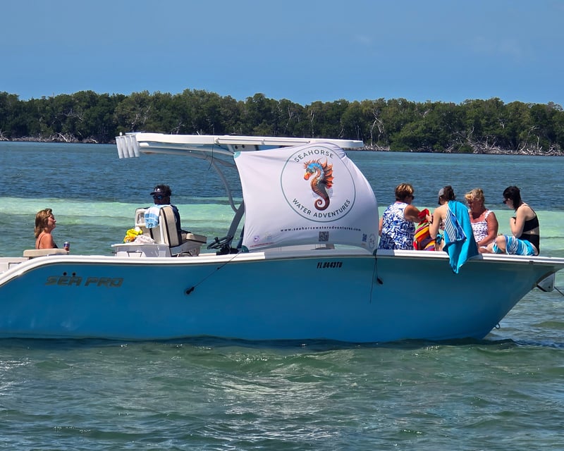 Private Snorkeling Charter in Marathon