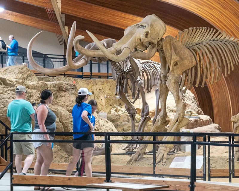Mammoth Site Self-Guided Ice Age Fossil Tour in Hot Springs