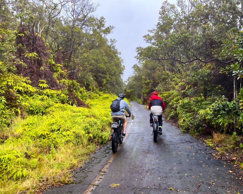 Volcanoes National Park E-Bike Tour from Hilo Cruise Port
