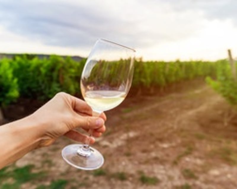 Private Sedona Wine Tour to Page Springs & Alcantara