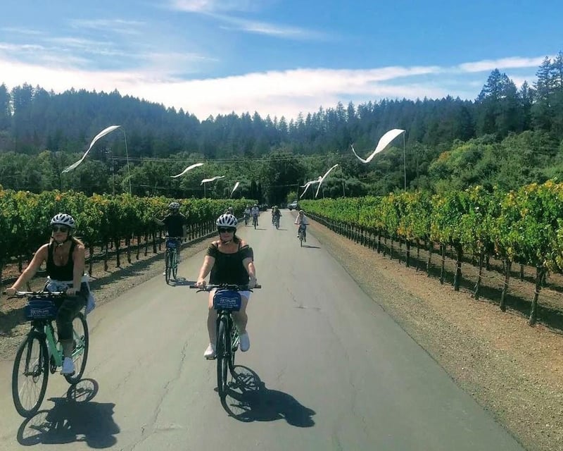 Calistoga Wine Country Bike Tour with Picnic Lunch