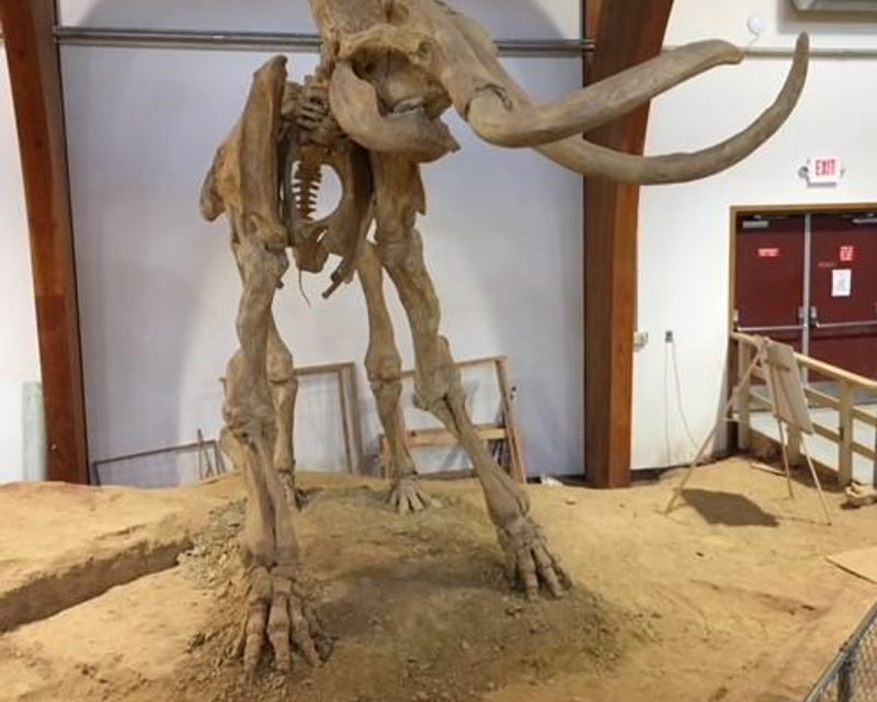 Private Mammoth Site & Rushmore Cave Tour from Rapid City