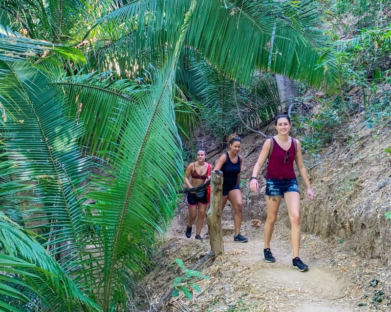 Guided Jungle & Beach Hike in Puerto Vallarta