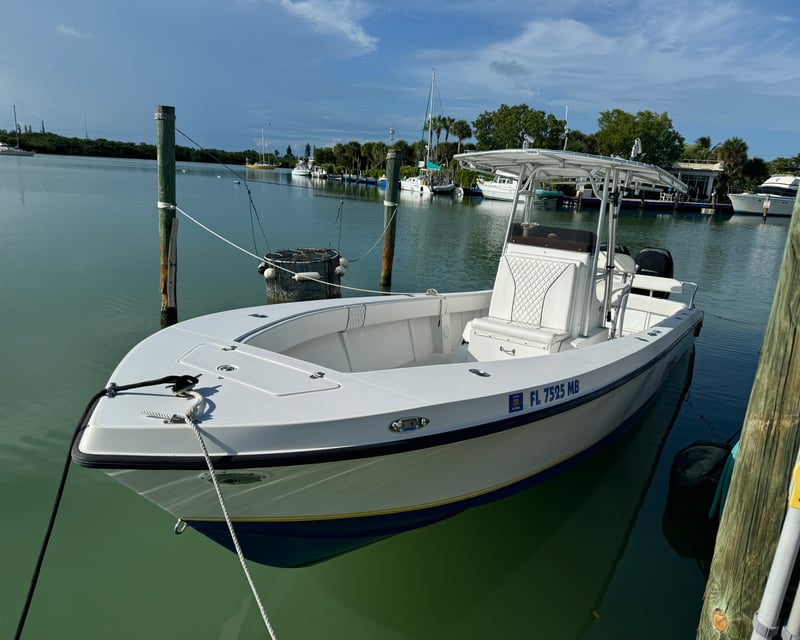 Offshore & Reef Fishing Charter or Eco Tour in Marathon