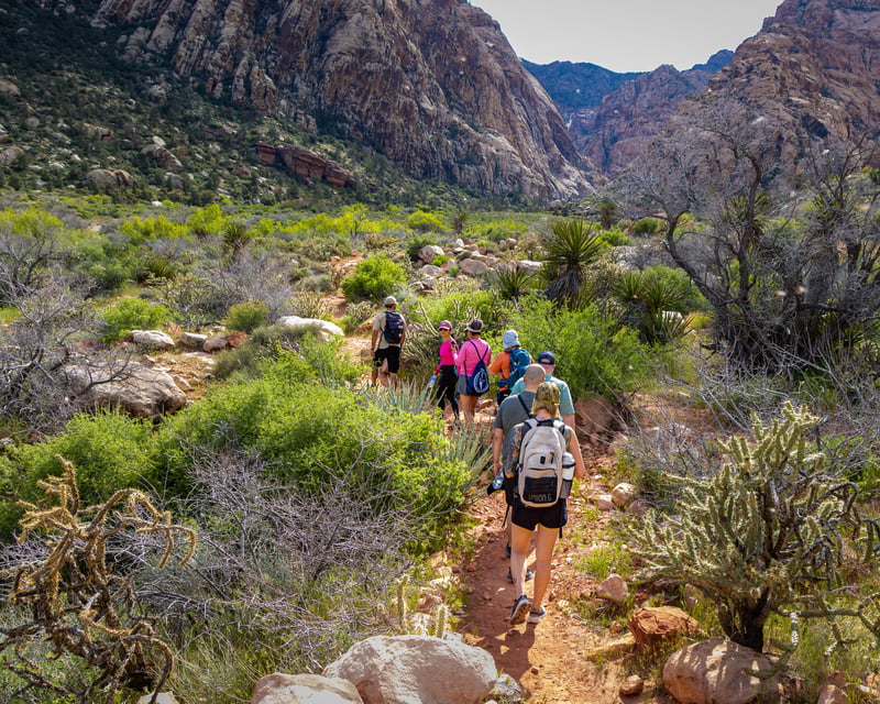 Spring Mountain Ranch Hike in Red Rock Canyon