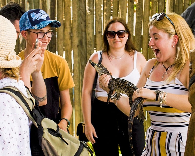 Everglades Airboat Ride & Alligator Farm Admission