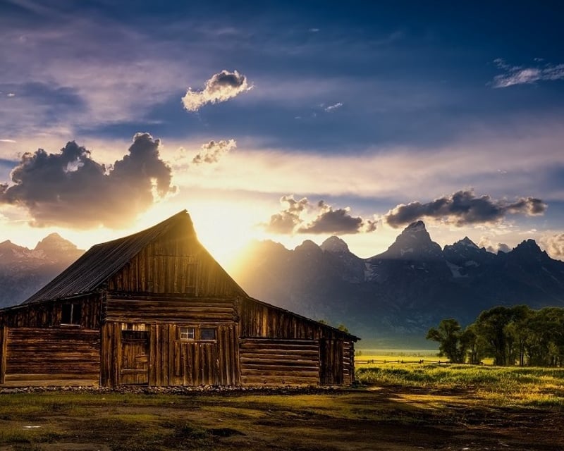 Dawn Wildlife Safari Tour in Grand Teton National Park
