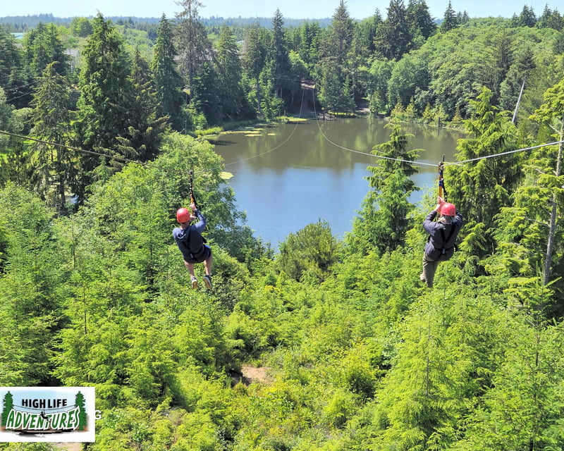 Guided 8-Zip Line Tour in Warrenton