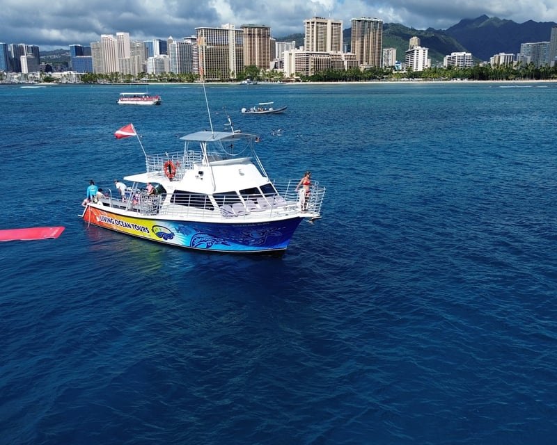 2-Hour Turtle Canyon Snorkeling Tour