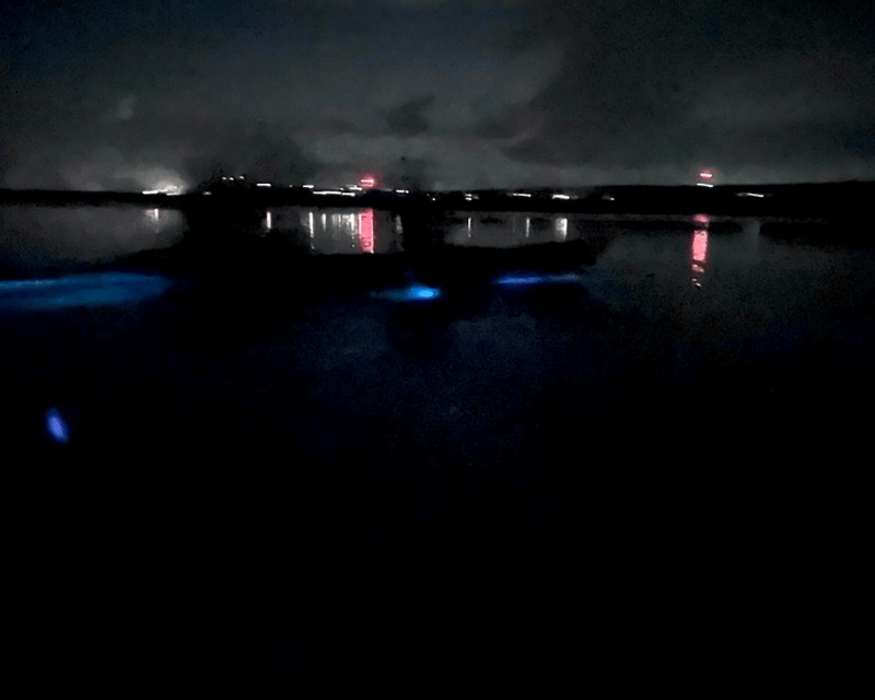 Sunset Bioluminescent Bay Kayak Tour in Vieques