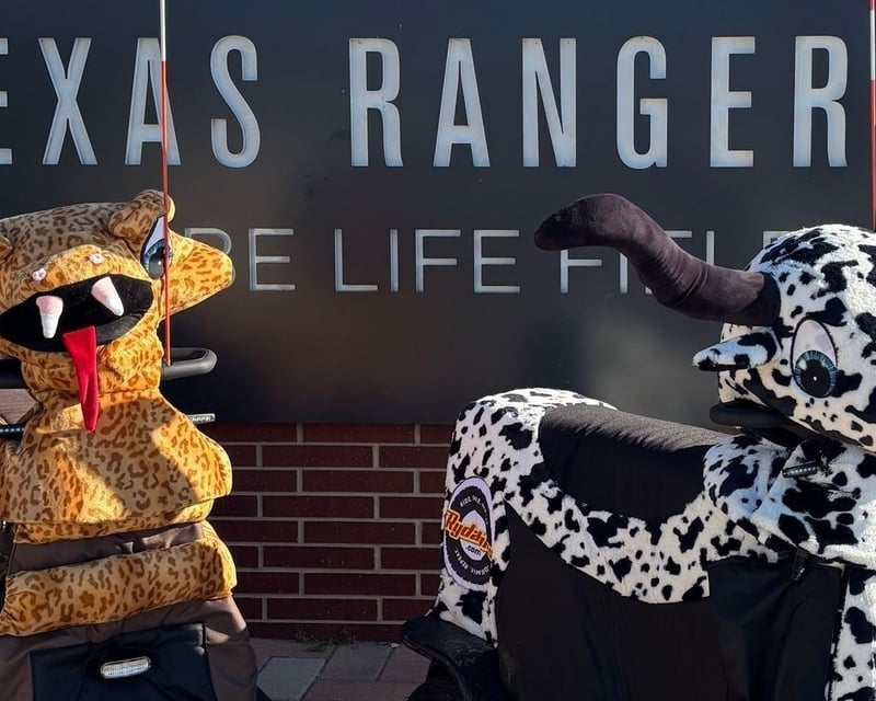 90-Minute Guided Rydable Tour of Arlington