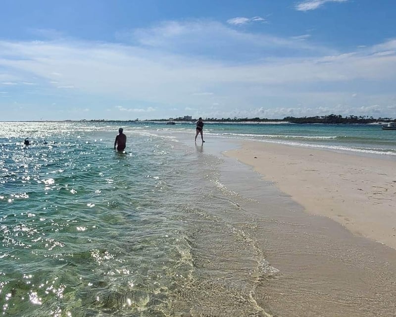 Private Shell Island Dolphin & Snorkel Tour from Panama City