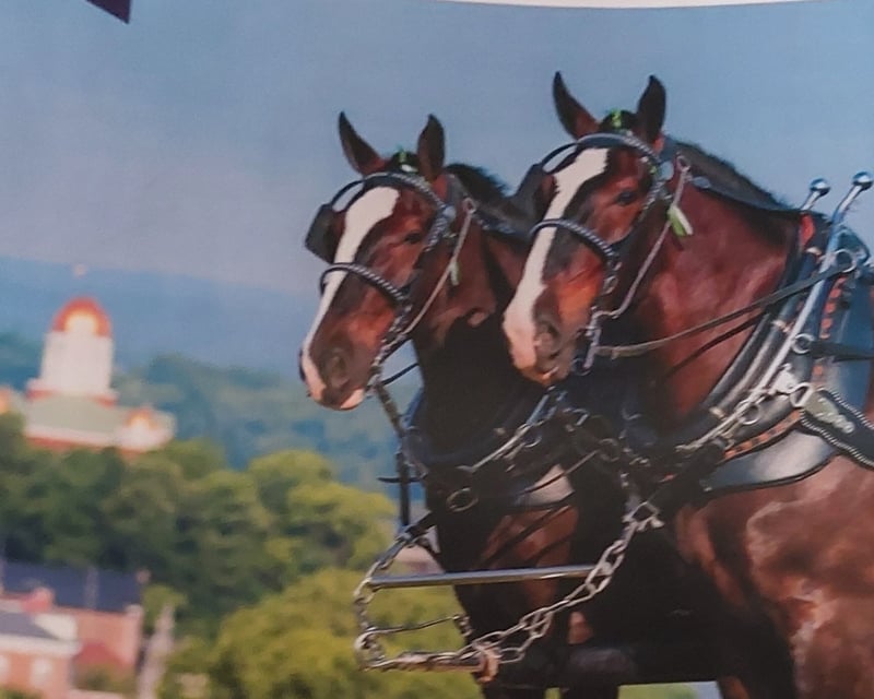 30-Minute Carriage Tour of Hermann Farm