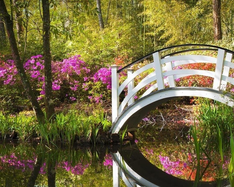 Private Gullah Culture Tour of Charleston & Boone Hall