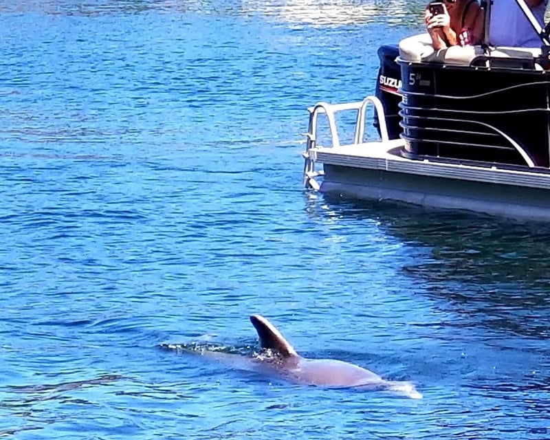 Private Homosassa River Boat Tour to Monkey Island