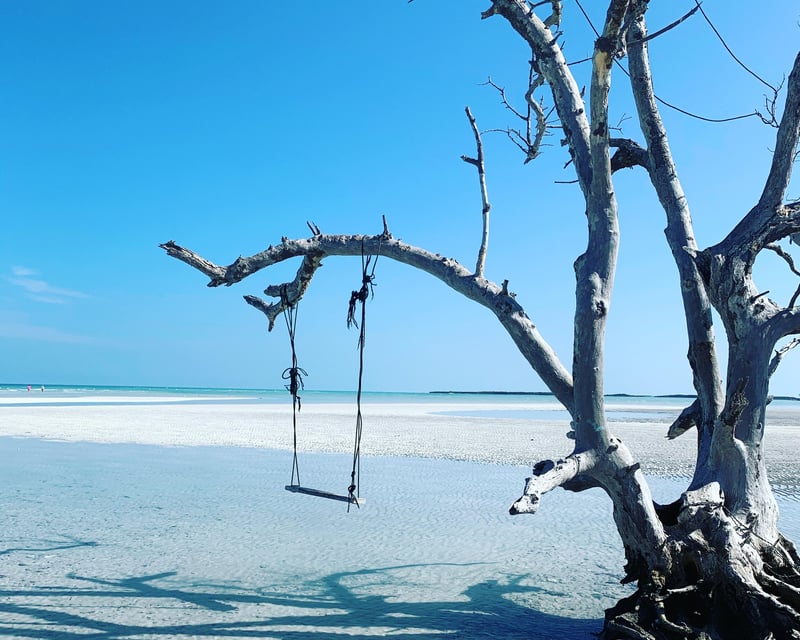 Private Backcountry Sandbar Boat Tour in Key West