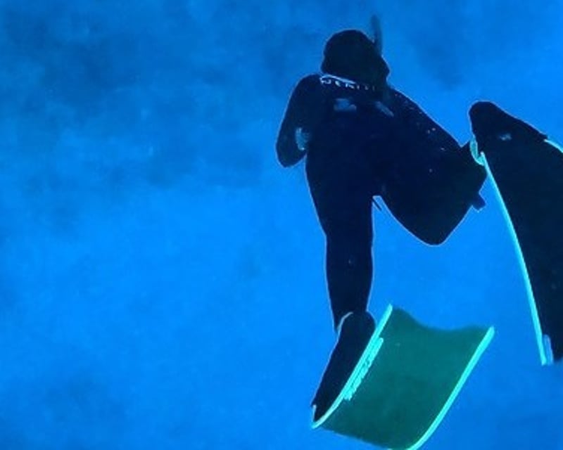Key West Guided Freediving Charter