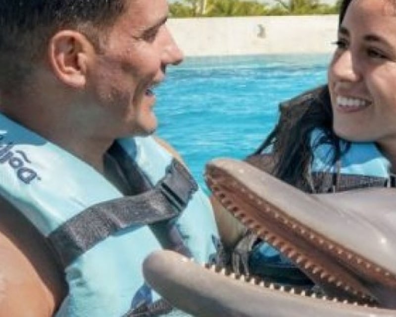 Family Dolphin Swim with Certified Trainers